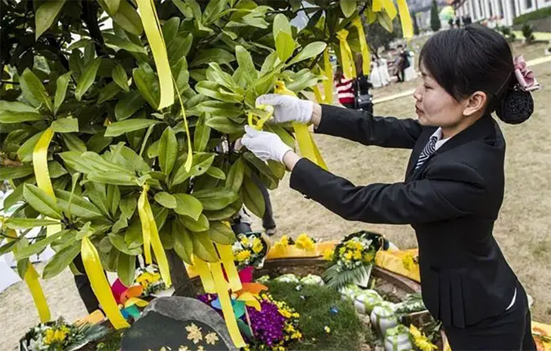 简洁安葬流程，安葬流程简洁一点该怎么办