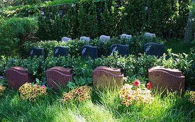 生态葬好不好？为什么越来越多的人选择生态葬？