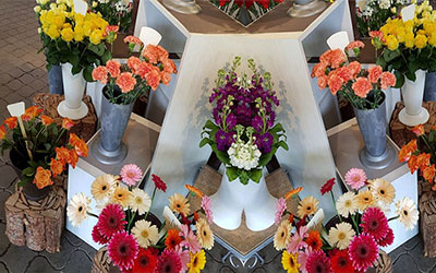 丧葬一条龙包括什么项目？