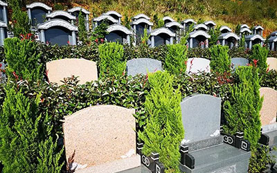 市民如何了解昆明丧葬服务机构的服务范围和服务内容？