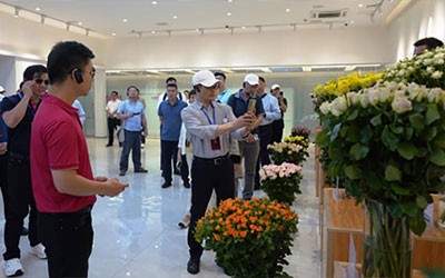 殡葬服务公司是否提供灵堂和悼念场所的租赁？