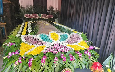 如何了解殡葬服务一条龙的资质和许可证情况？