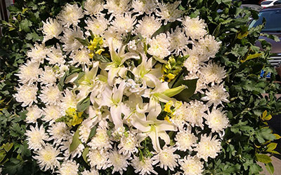 昆明殡葬一条龙服务：让市民在丧失中找到守护与安慰