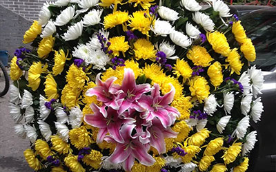 昆明殡葬一条龙服务：让市民在困难时刻感受温暖与支持