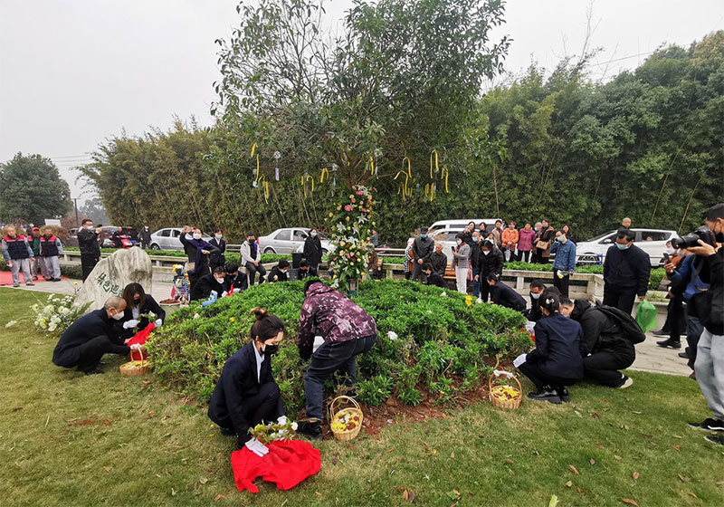 昆明树葬全部费用大概多少钱