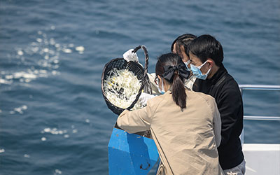 想举办海葬怎么办？