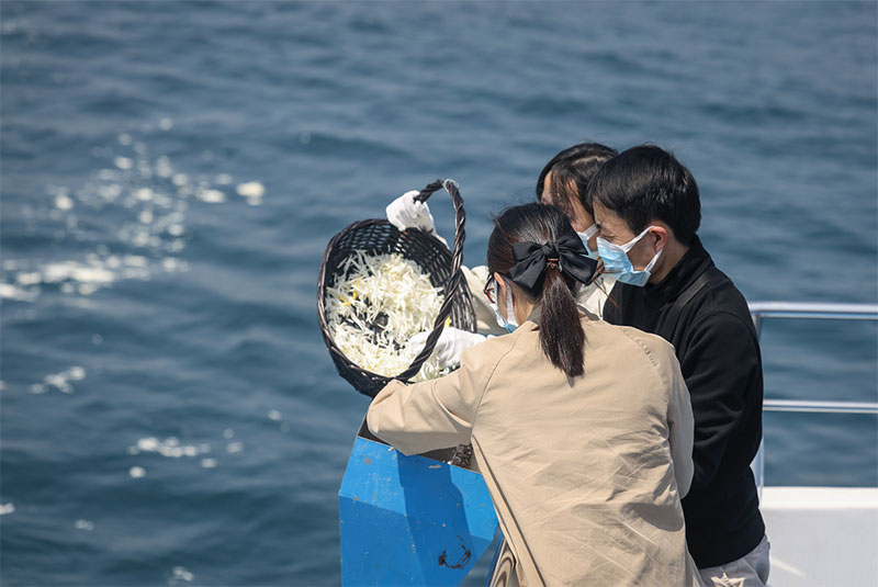 想举办海葬怎么办