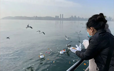 海葬指南：做出明智选择的必备知识