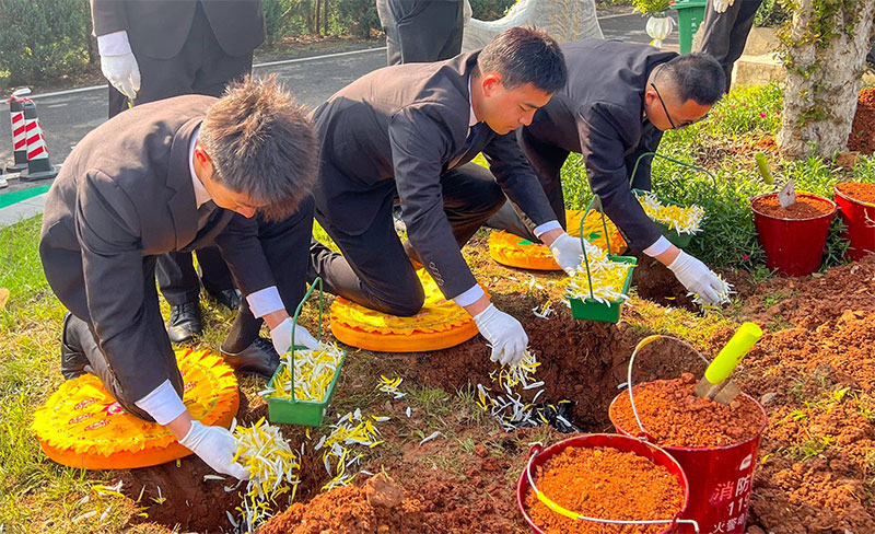 生态葬该如何选择