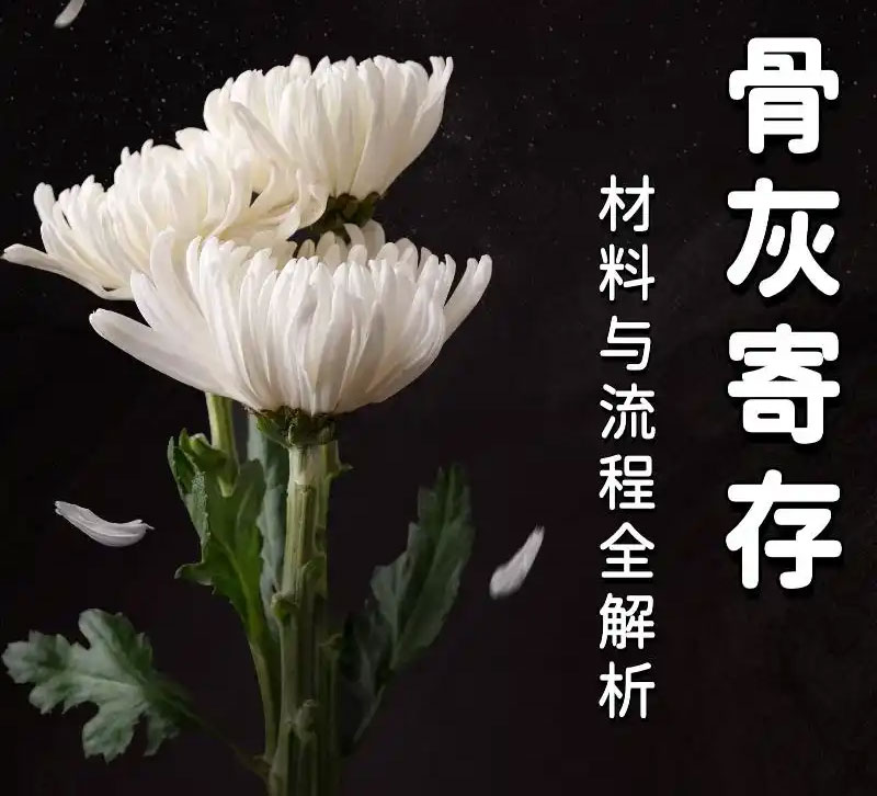 骨灰寄存办理指南：材料与流程全解析