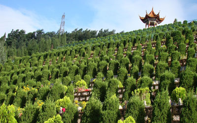 昆明玉案山公墓官网_玉案山公墓好不好_公墓价格贵不贵_玉案山公墓交通