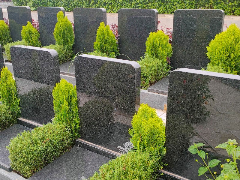 昆明抚仙湖人文纪念园墓区环境 昆明抚仙湖人文纪念园公墓环境