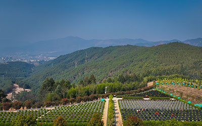 昆明抚仙湖人文纪念园墓区环境【高清图】