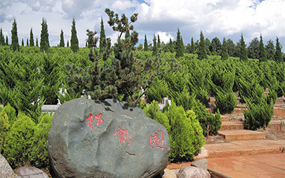昆明宝象山公墓松鹤园